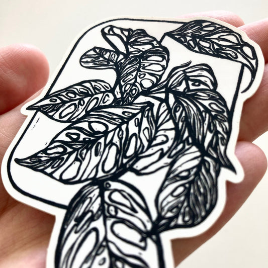 Adansonii | Vinyl Sticker