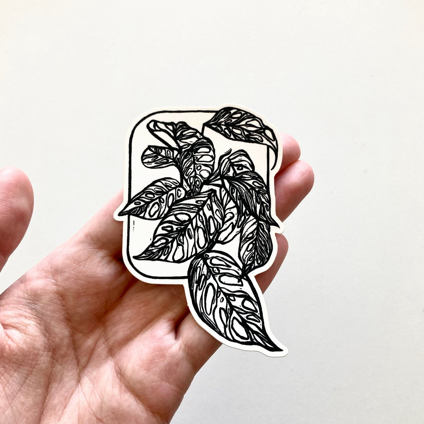 Adansonii | Vinyl Sticker