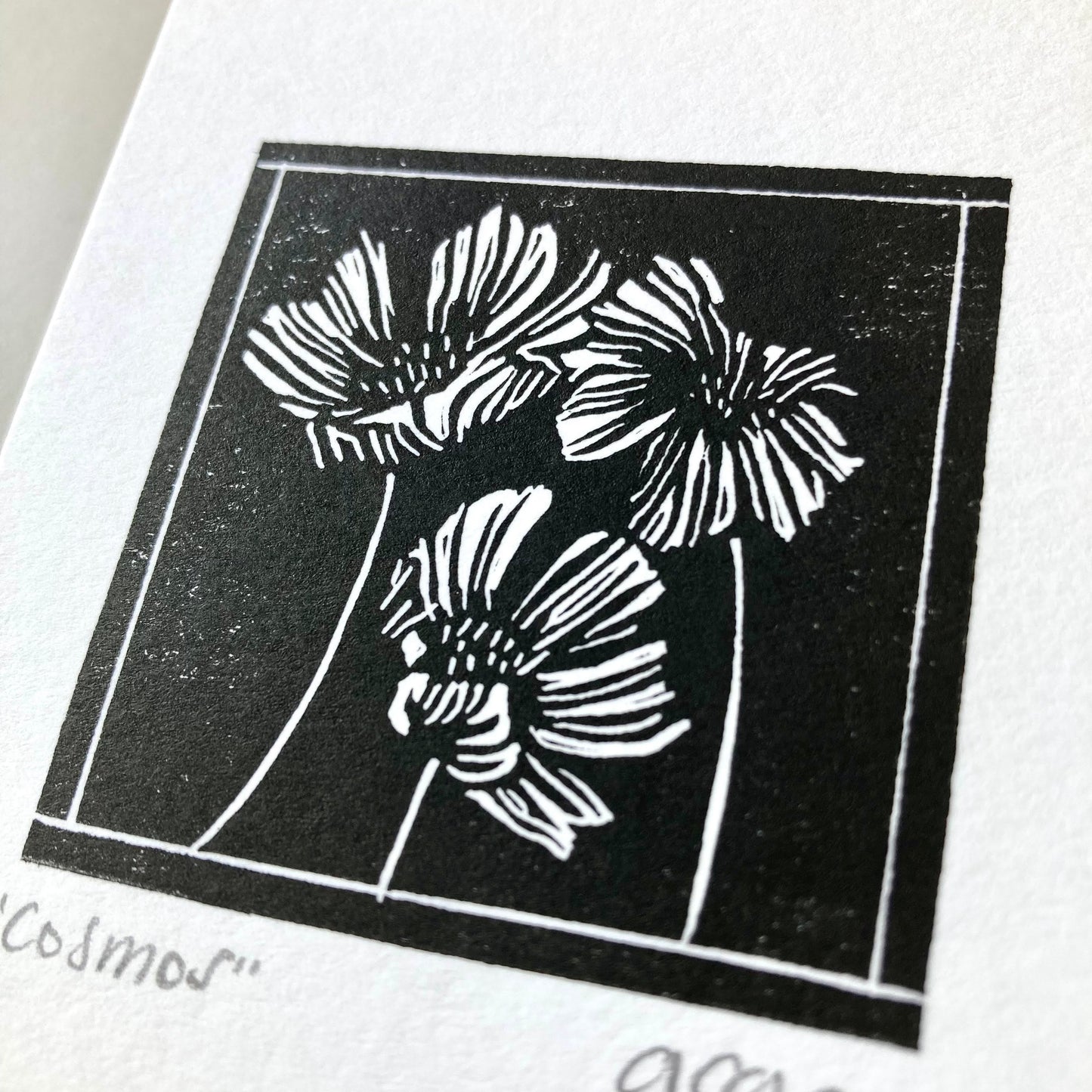 Cosmos | Mini Block Print