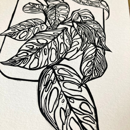 Adansonii | Original Block Print