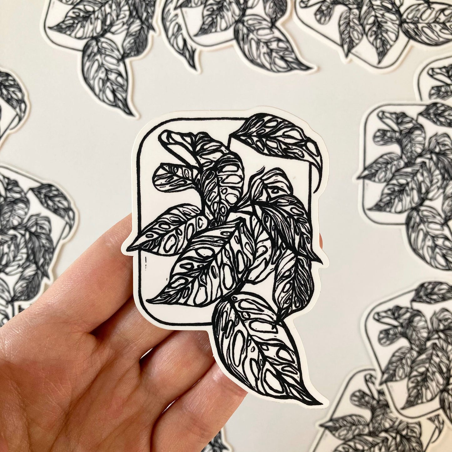 Adansonii | Vinyl Sticker