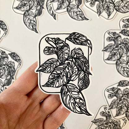 Adansonii | Vinyl Sticker