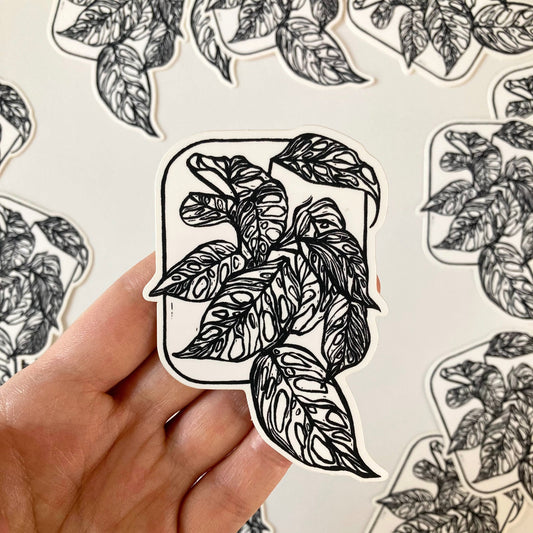 Adansonii | Vinyl Sticker
