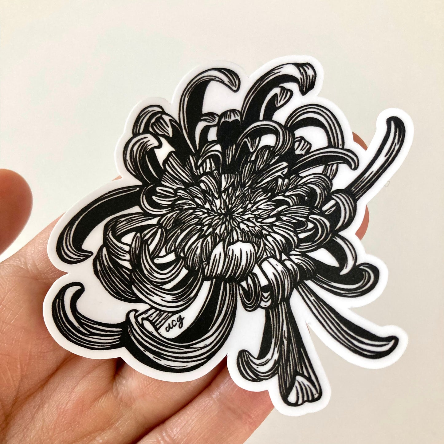 Chrysanthemum | Vinyl Sticker
