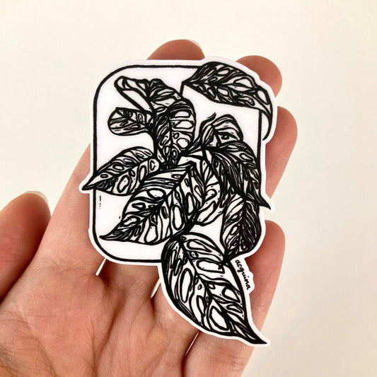 Adansonii | Vinyl Sticker
