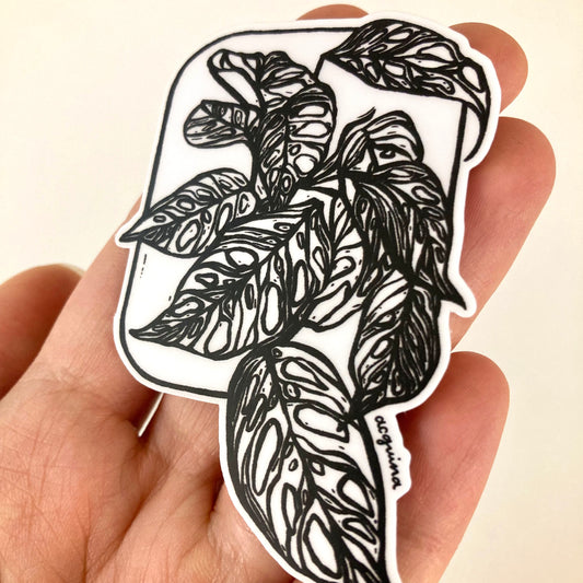 Adansonii | Vinyl Sticker