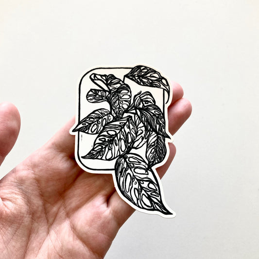 adansonii vinyl sticker